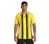 PUMA Teamliga Striped Jersey Shirt, Cyber Yellow-puma Black, XL Hombre