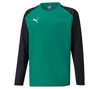 PUMA Teamliga Training Sw Camiseta de Manga Larga, Niños