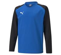 PUMA teamLIGA Training Sweat Jr