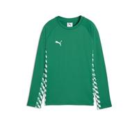 Puma Teamliga26 - Sudadera de Entrenamiento para niño (1 Unidad)