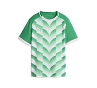 Puma teamLIGA27 Graphic Jersey Jr