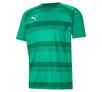 PUMA teamVISION Trikot Kids gruengruenweiss 116