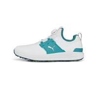 Puma Tenis Ignite Articulate para Hombre, Puma Blanco Puma Silver Green Lagoon, 42 EU