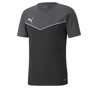 PUMA Unisex Adulto Camiseta, Puma Black-asph, L