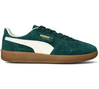 Puma - Zapatilla Palermo, Hombre, Green, 10.5 UK