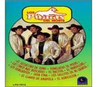 Pumas Del Norte - Corridos Paniquiados
