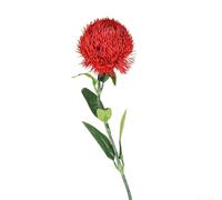 Pumixiy Flor artificial de plástico suave para decoración del hogar y arreglos de boda, alternativa de planta de interior de bajo mantenimiento, seda de 55 cm (rojo)