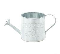 Pumixiy Regadera de metal vintage decorativa maceta de hierro para plantas de jardín, mini cubo de aspersor, decoración rústica para el hogar con diseño antiguo (El viejo)