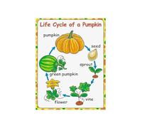 Pumpkin Life Cycle Poster Biology Science Classroom Decor Educational Chart for Teachers Fall Harvest Autumn Homeschool Kids Room Wall Art(Framed,12X18inch(30X45cm))