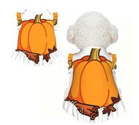 Pumpkin Spice XL - Ropa para mascotas para perros pequeños, bonito traje de verano para cachorros, ropa suave y transpirable para mascotas para gatos