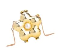 pumpumlia Bolso cruzado acrílico de un solo hombro con forma de flor para pintalabios para mujeres elegantes organizadas, Gold, One Size