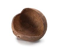 pumpumlia Escalera de escalada de hámster sirio, casa de cocos, escondite de animales pequeños, jaula de juego, juguete masticable para hámsteres, casa de escondite de mascotas pequeñas
