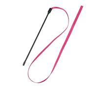 pumpumlia Juego de 10 varitas de juguete para gatos, color arcoíris, doble cara, palo interactivo, persiguiendo largo y colorido