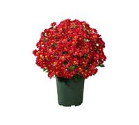 pumpumlia Paquete a granel de flores artificiales para decoración del hogar, boda, jarrón, arreglos florales, crisantemos realistas, arreglos florales artificiales