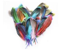 Pumuky 50 Plumas de Pato Coloridas, Plumas Creativas, Manualidades para decoración de Pascua, Disfraces, Sombreros, Bodas y Fiestas de cumpleaños (Rosso)