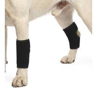 PUMYPOREITY 2 Piezas Rodilleras Perros para Piernatrasera, Abrazaderas para Las Piernas Traseras del para Perros con Lca Rodillera Dislocación Artritis Tirante para La Pierna Trasera(Negro, L)
