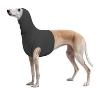 PUMYPOREITY Camisola Protecao Pescoco Cao Orejeras Antiruido Perro Auriculares Cancelacion Ruido Auriculares Pirotecnia, Cubre La Herida del Cuello(Gris, XL)
