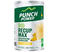 Punch Power - Bio Recup Max Banane - Pot 420g - Verde Verde one size