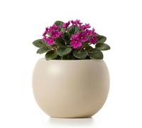 Punklong Maceta de cerámica con autorriego de 6.8 pulgadas, maceta violeta africana para plantas pequeñas, maceta redonda de autorriego con almacenamiento de agua, maceta decorativa para plantas de
