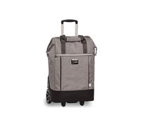 Punta Big Wheel Carrito de la compra 62 cm gris
