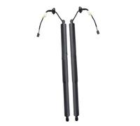 Puntal Gas Puerta Trasera Eléctrica Para BYD Para Song PLUS Soporte SA3F6309511 Puntal Gas Puerta Trasera Eléctrica, Izquierda Derecha Universal(Pair)
