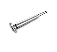 Puntales de Gasolina Para Civic 9ª Generación 2012-2015 Accesorios Para La Modificación Capó Amortiguadores De Gas Barras Soporte Y Elevadores(Carbon silver)