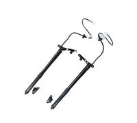 Puntales Gasolina Elevador Eléctrico De Portón Trasero Izquierdo/derecho/1 Par OEM 6891009010 6892009010 Para Toyota Para Rav4 2013-2016 Resortes gas para maletero(Pair)