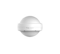 Ruijie Punto de acceso RG-RAP6202G Doble banda 2.4/5 GHz 1267 Mbps PoE Exterior Blanco