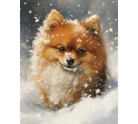 Punto De Cruz Kit Completo Esquemas 11Ct Pomerania En La Nieve 40X50Cm Patrone Cuadro Kit Punto De Cruz Con Hilos Y Tela Impresa Impreso Completo Contado Principiantes Cross Stitch Kit Borda