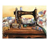 Punto De Cruz Paisaje, Kit Punto De Cruz Con Hilos Y Tela Esquemas Tela Impresa, Máquina De Coser Paisaje Diy Bordado,30X40Cm Patrones Cuadros Para Hacer En Punto De Cruz Kit Completo Hilo Y Tela Co