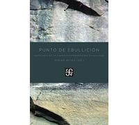 Punto De Ebullicion: Antologia De La Poesia Contemporanea En Gallego (