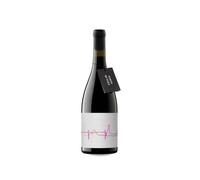 Navarra Punto de Fuga Corral del Mate 2019