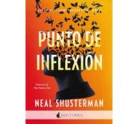 Punto De Inflexión (ebook)
