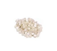 Puntos Luminosos para Diapasón 5,0mm Gf128, 100 Piezas