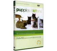 Puppies and kittens [Francia] [DVD]