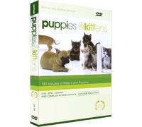Puppies and Kittens [USA] [DVD]