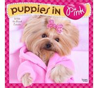 Puppies in Pink | Calendario mensual cuadrado de pared 2026 de 12 x 24 pulgadas (colgado) | Sin plástico | BrownTrout | Animales divertidos humor mascotas