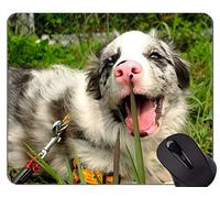 Puppy Dog Gaming Alfombrillas de ratón, Dog Office Alfombrilla de ratón