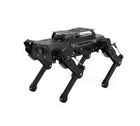 PuppyPi - Perro robot con ChatGPT, modelos de IA grandes, inteligencia encarnada, ROS, robótico, escena de visión de perro, comprensión de voz, navegación de mapeo SLAM, robot cuadrúpedo biónico, kit