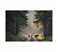 PUQAAEO Cuadro Impresión Lienzo Pintura, La familia de osos en los bosques Arte Animal Pared Arte Pintura para Hogar Salón Oficina Mordern Decoración Regalo（Multicolor-70x100cm Sin marco