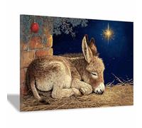 PUQAAEO Impresión fotográfica de animales sobre lienzo, Burro de la Noche Silenciosa decoración de pared, decoración de casa, cocina, sala de estar（Multicolor-20x30cm Enmarcado