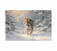 PUQAAEO Impresión fotográfica de animales sobre lienzo, Pintura de los tigres de Snowss decoración de pared, decoración de casa, cocina, sala de estar（Multicolor-60x90cm Sin marco