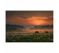PUQAAEO Impresión fotográfica de animales sobre lienzo, Vistas de Sunset Horse Meadow decoración de pared, decoración de casa, cocina, sala de estar（Multicolor-80x120cm Sin marco