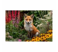 PUQAAEO Impresión fotográfica de animales sobre lienzo, Zorros en el Campo de Flores Silvestres decoración de pared, decoración de casa, cocina, sala de estar（Multicolor-80x120cm Sin marco
