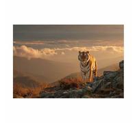 PUQAAEO Pintura En Lienzo De Animales Vistas de Tigers Peaks Painting Lienzo De Arte Mural,Arte En Lienzo Para Dormitorio Salón Despacho Baño Entrada（Multicolor-60x90cm Sin marco