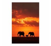 PUQAAEO Póster de paisaje moderno, Estampado de la Familia del Atardecer de los Elefantes decoración del hogar para dormitorio, sala de estar, pared de fondo de oficina（Multicolor-40x60cm Sin marco