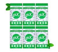 PUR Gum Chicle Sin Azúcar, Con Xilitol, Vegano, Sin Aspartamo y Sin Gluten, Chicle Natural Con Sabor a Spearmint, 55 Piezas (Paquete de 6)