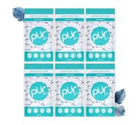 PUR Gum | Chicle Sin Azúcar | Con Xilitol | Vegano, Sin Aspartamo y Sin Gluten | Chicle Natural Con Sabor a Wintergreen, 55 Piezas (Paquete de 6)