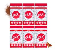 PUR Gum chicle sin azúcar con xilitol, vegano, sin aspartamo y sin gluten, sabor cinnamon, 55 piezas (paquete de 6)