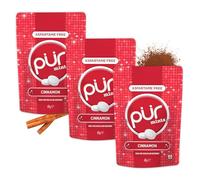 PUR Mints | Caramelos de menta Sin Aspartame | Endulzados con Xilitol | Sin Azúcar, Veganas, Sin Gluten | Sabor Natural a Canela | 65 unidades en bolsa resellable (Pack de 3)